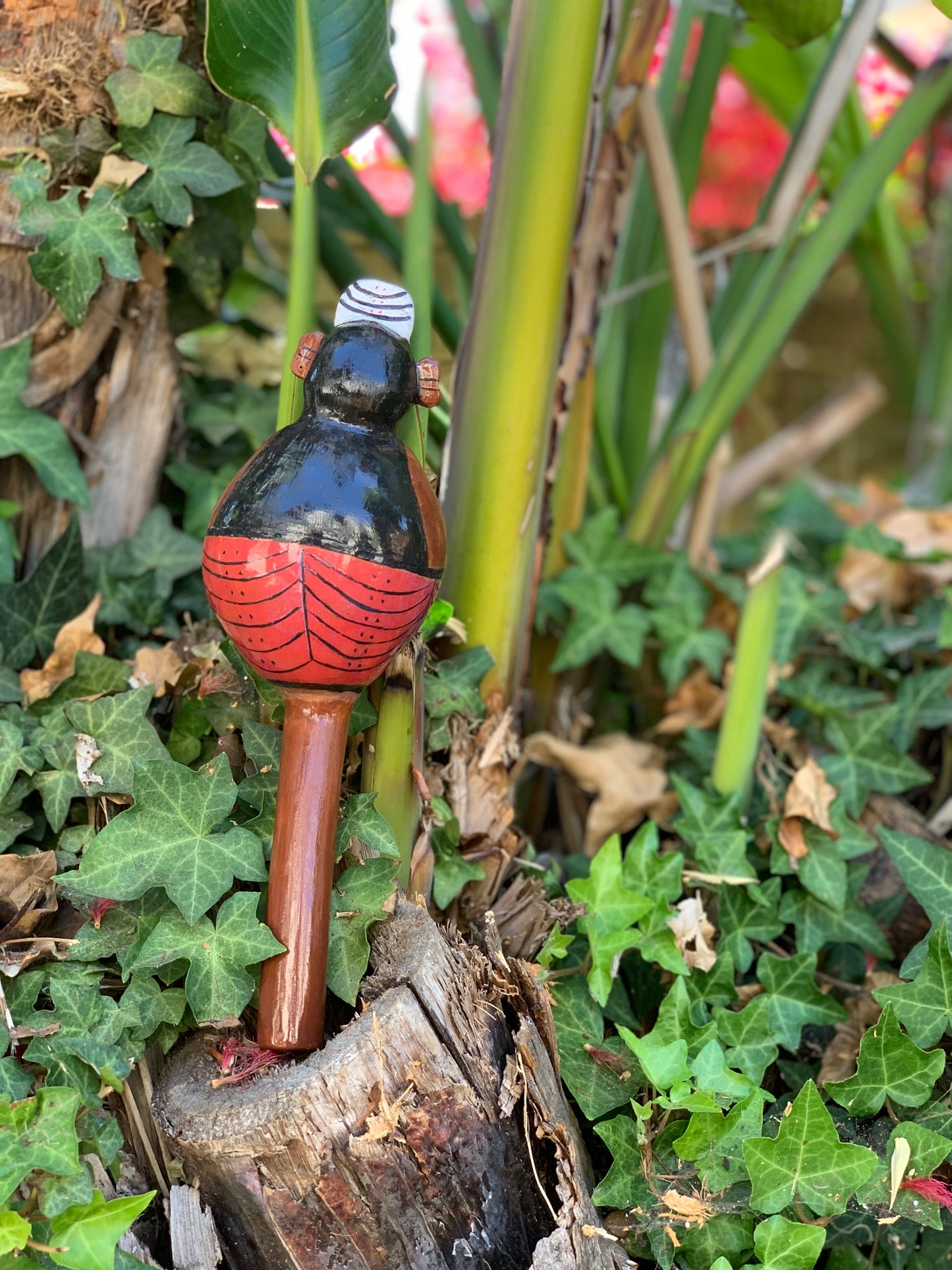 Series: Ceremonial Maraca | Fresh Yuca From The Conuco (1/10)