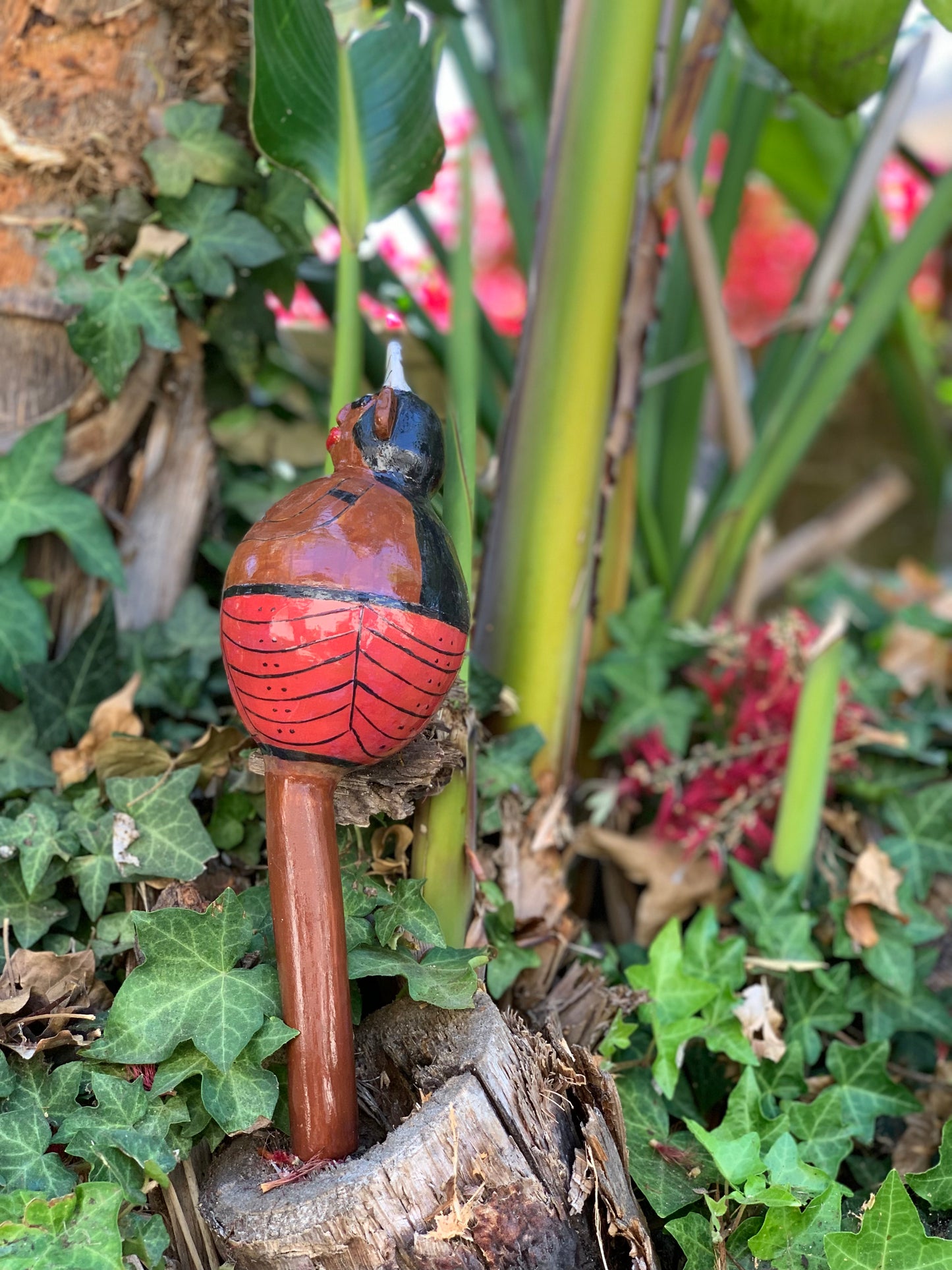 Series: Ceremonial Maraca | Fresh Yuca From The Conuco (1/10)